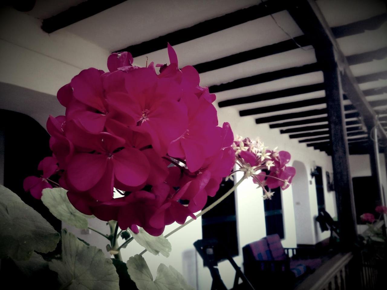 Fidelisima Hotel Chachapoyas Exterior photo